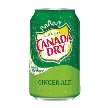 Canada Dry Ginger Ale 355ml